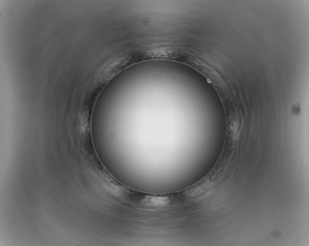 X0000091680665200709061105