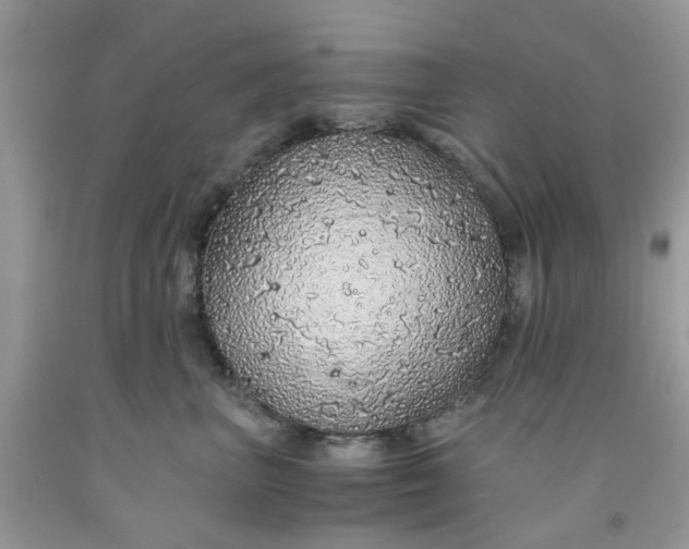 X0000091680667200709061105