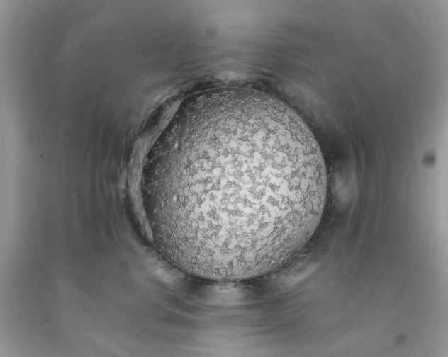 X0000091680668200709061105
