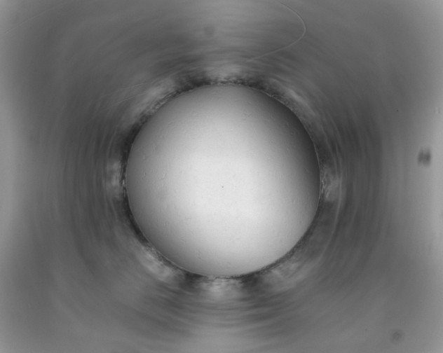 X0000091680670200709061105
