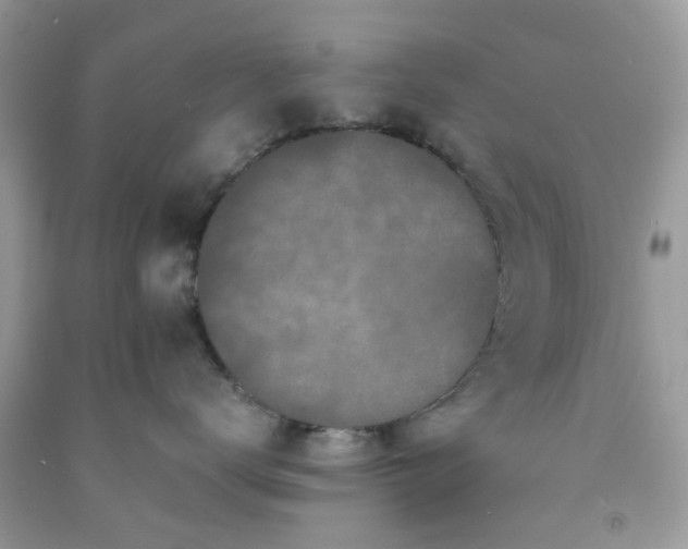 X0000091680672200709061105