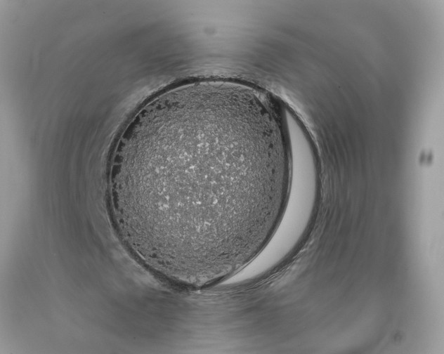 X0000091680673200709061105