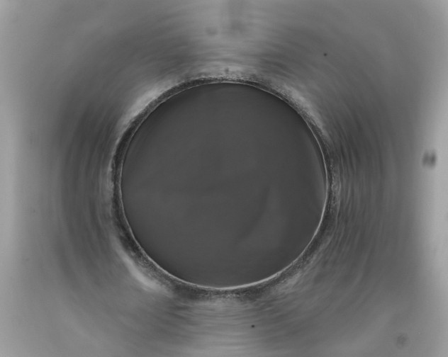 X0000091680674200709061105