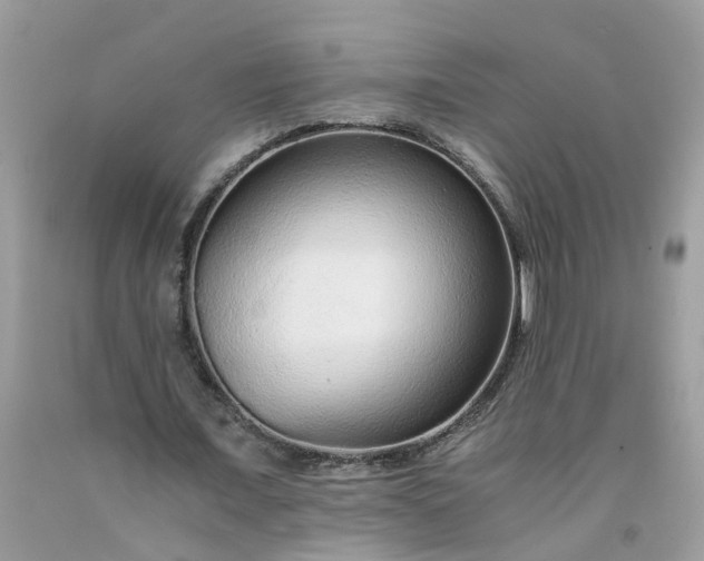 X0000091680675200709061105