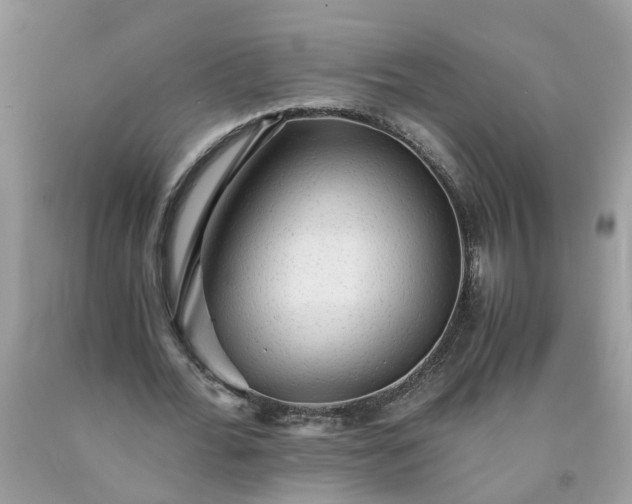 X0000091680676200709061105