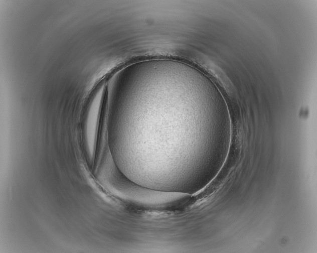 X0000091680677200709061105
