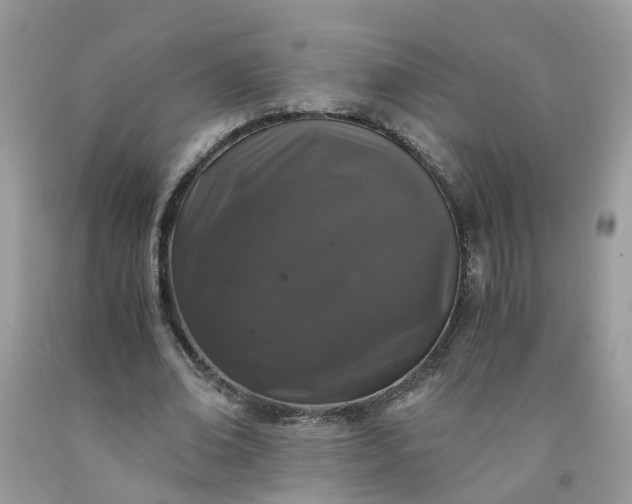 X0000091680678200709061105