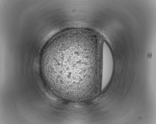 X0000091680679200709061105