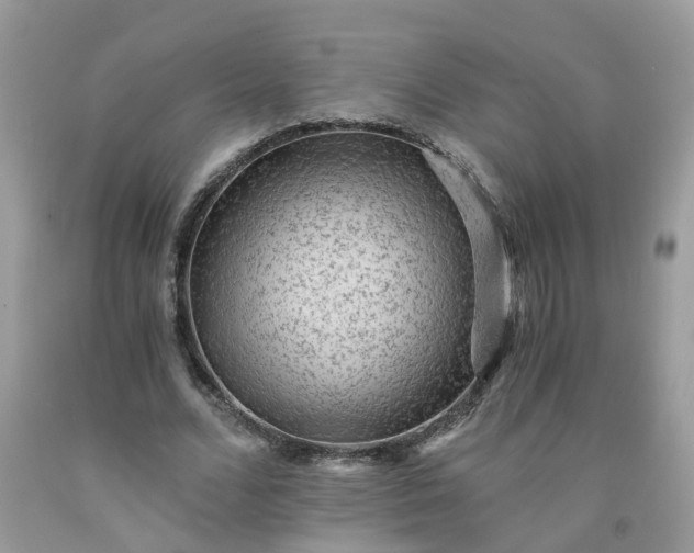X0000091680680200709061104