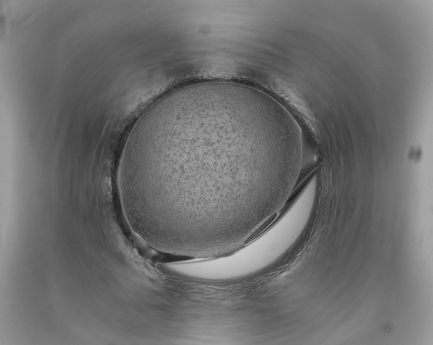 X0000091680681200709061104