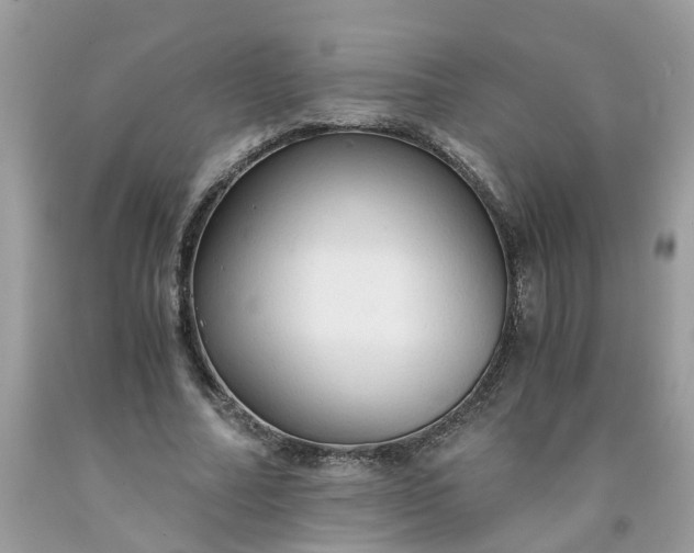 X0000091680682200709061104