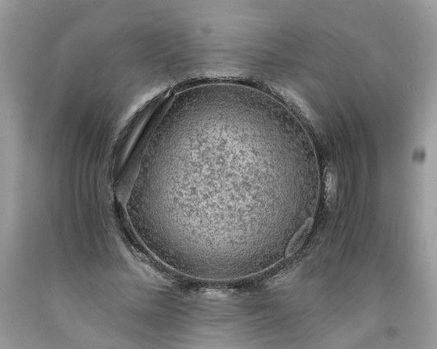 X0000091680684200709061104