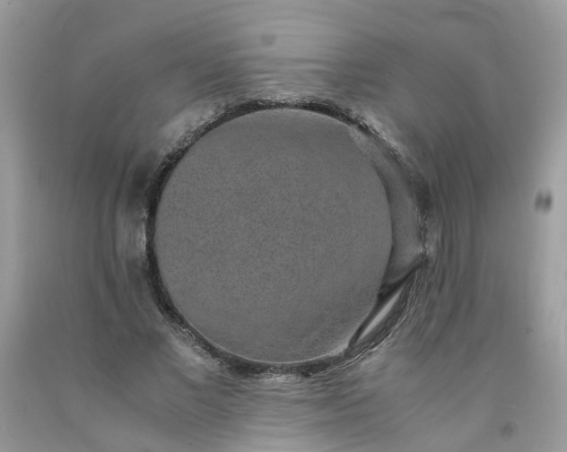 X0000091680685200709061104