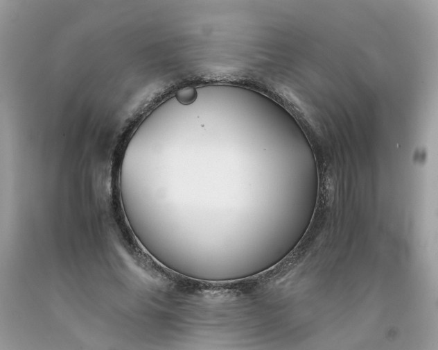 X0000091680686200709061104