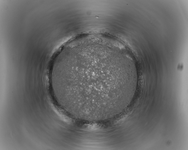 X0000091680688200709061104