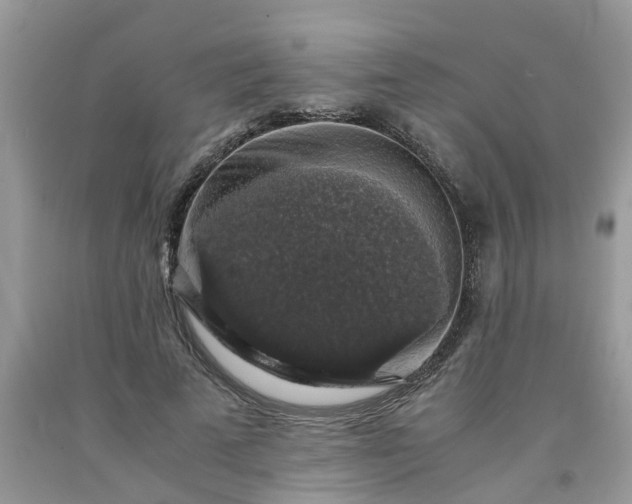 X0000091680689200709061104
