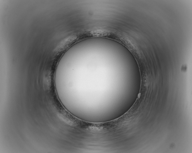 X0000091680690200709061104