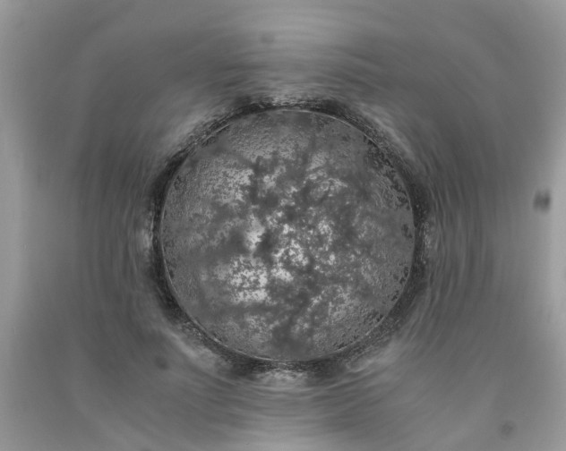 X0000091680691200709061104