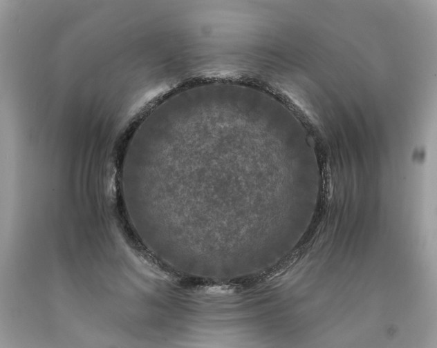 X0000091680692200709061104