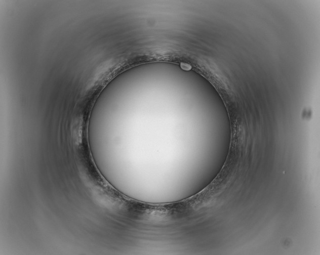 X0000091680694200709061104