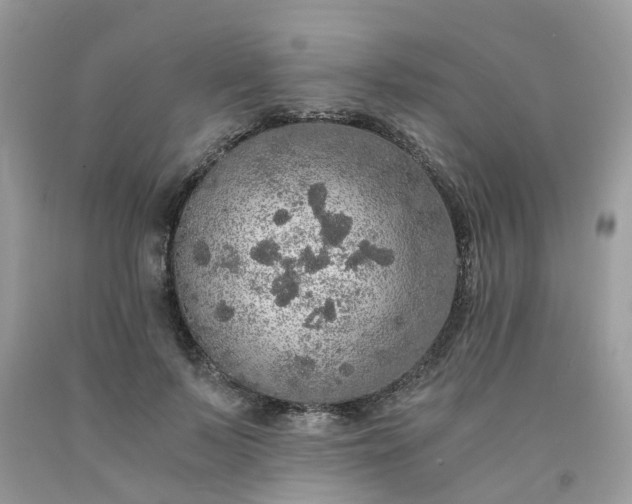 X0000091680695200709061104