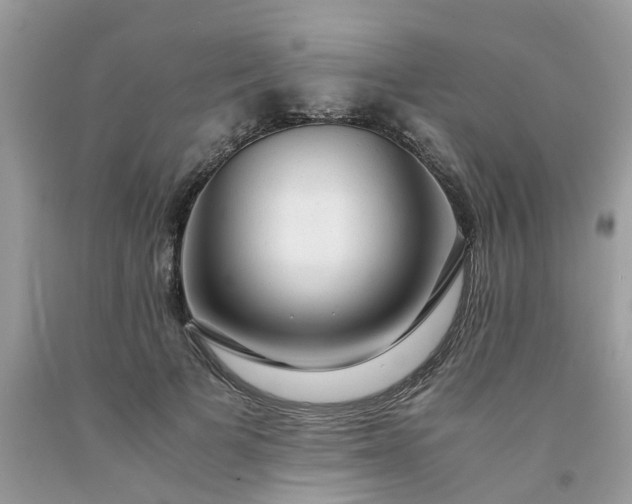 X0000091680697200709061104