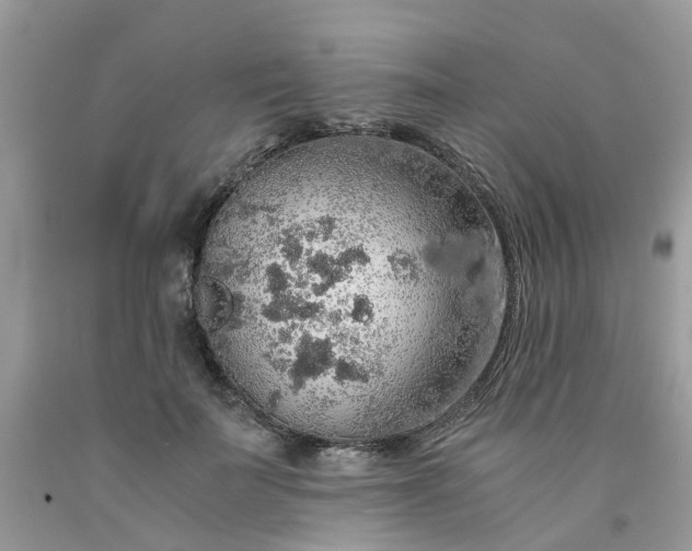X0000091680699200709061104