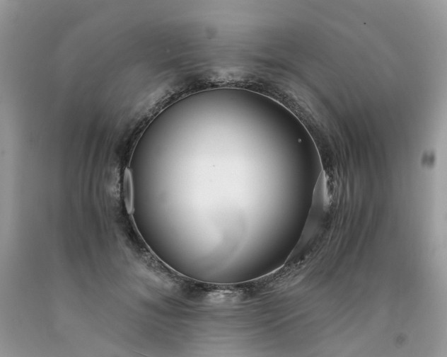 X0000091680700200709061104