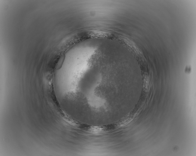 X0000091680701200709061104