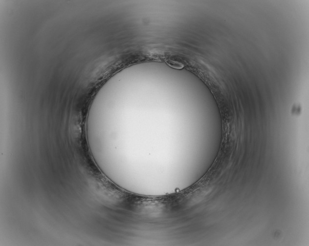 X0000091680702200709061104