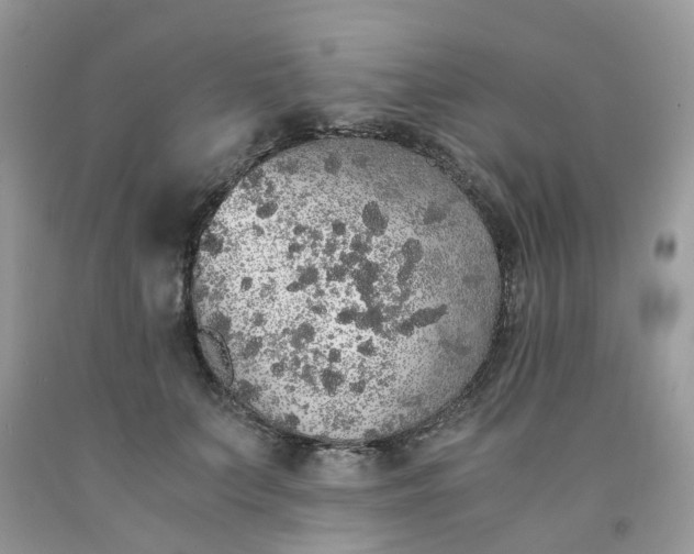 X0000091680703200709061104