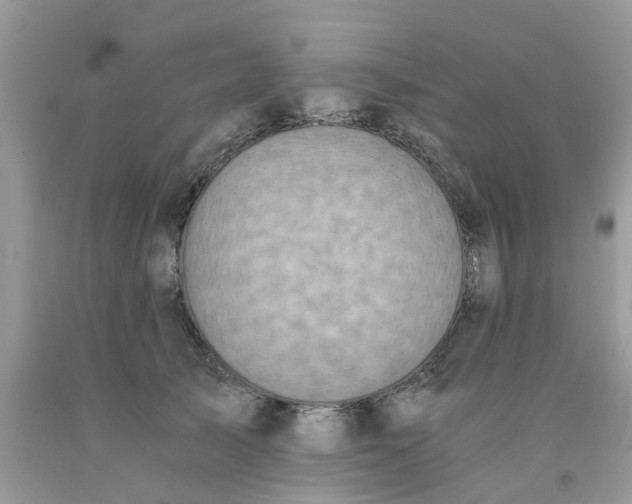 X0000091680705200709061104