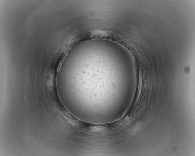 X0000091680708200709061104