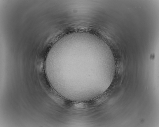 X0000091680709200709061104