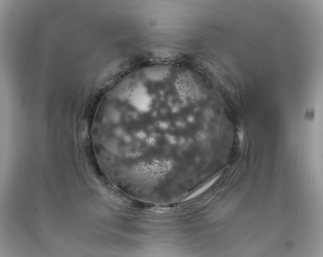 X0000091680711200709061104