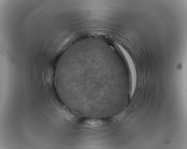 X0000091680712200709061104