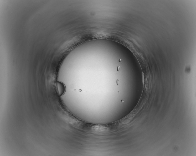 X0000091680714200709061104