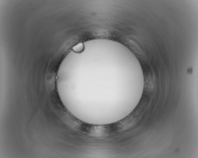 X0000091680717200709061104