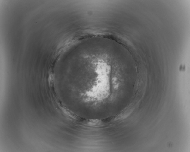 X0000091680720200709061104