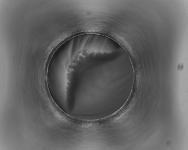 X0000091680721200709061103