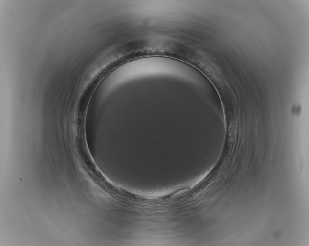 X0000091680722200709061103