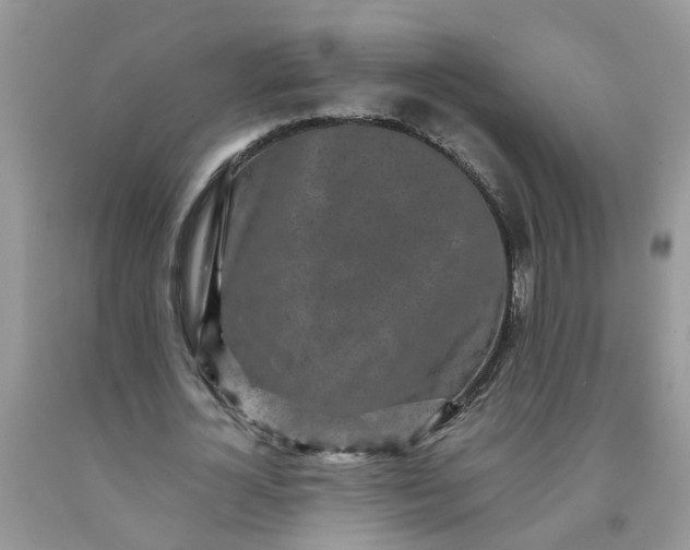 X0000091680724200709061103