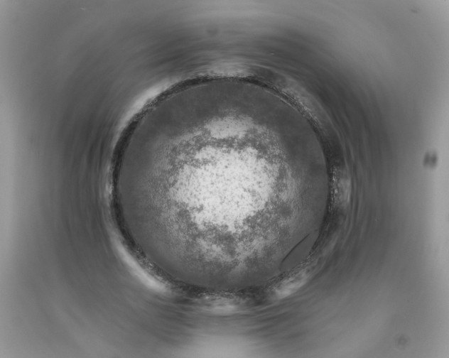 X0000091680726200709061103