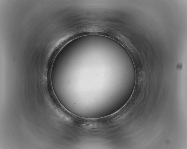 X0000091680727200709061103