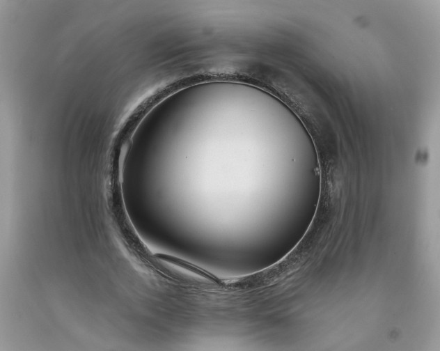X0000091680728200709061103