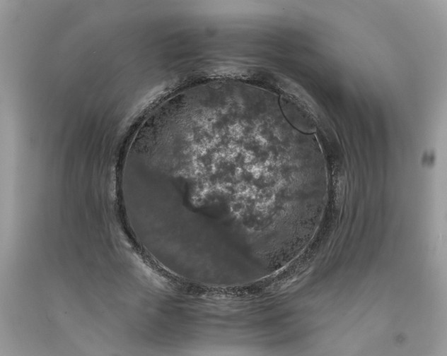 X0000091680729200709061104