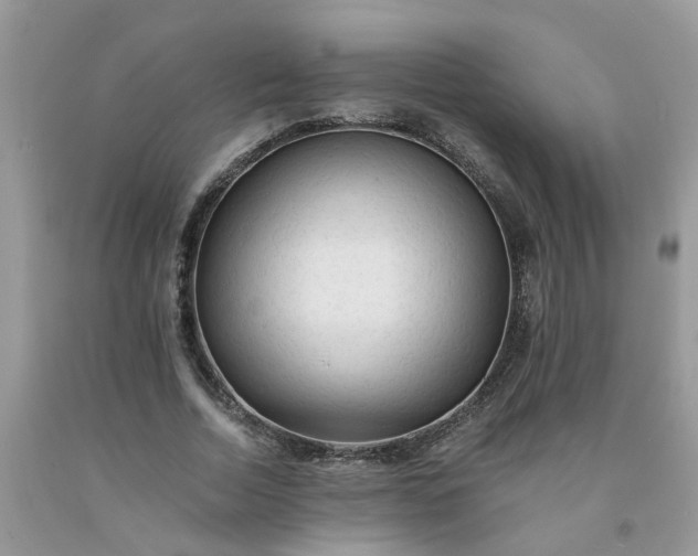 X0000091680730200709061104