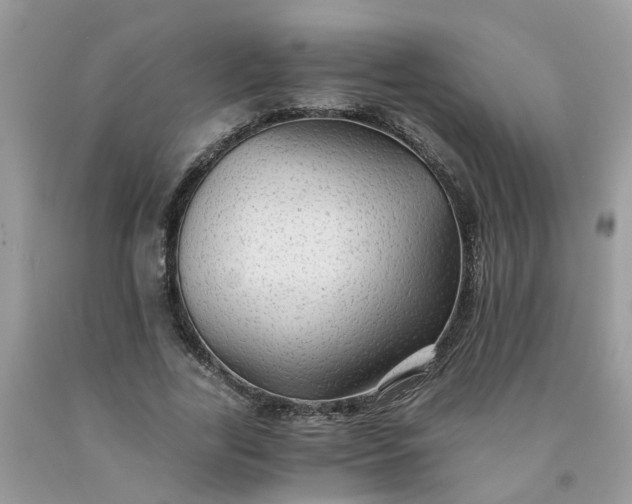 X0000091680731200709061104