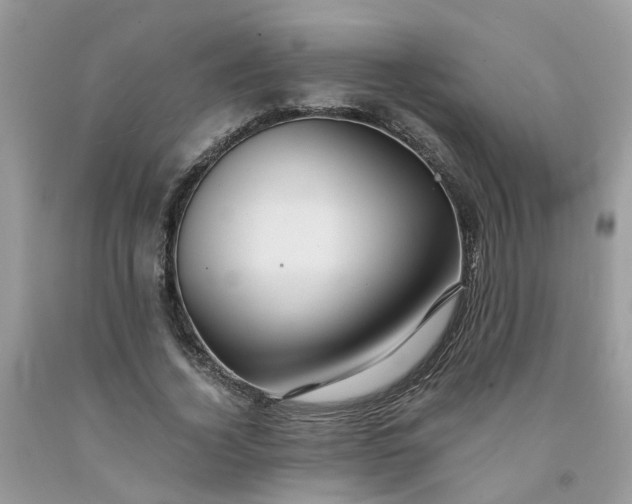 X0000091680732200709061104