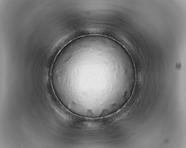X0000091680733200709061104